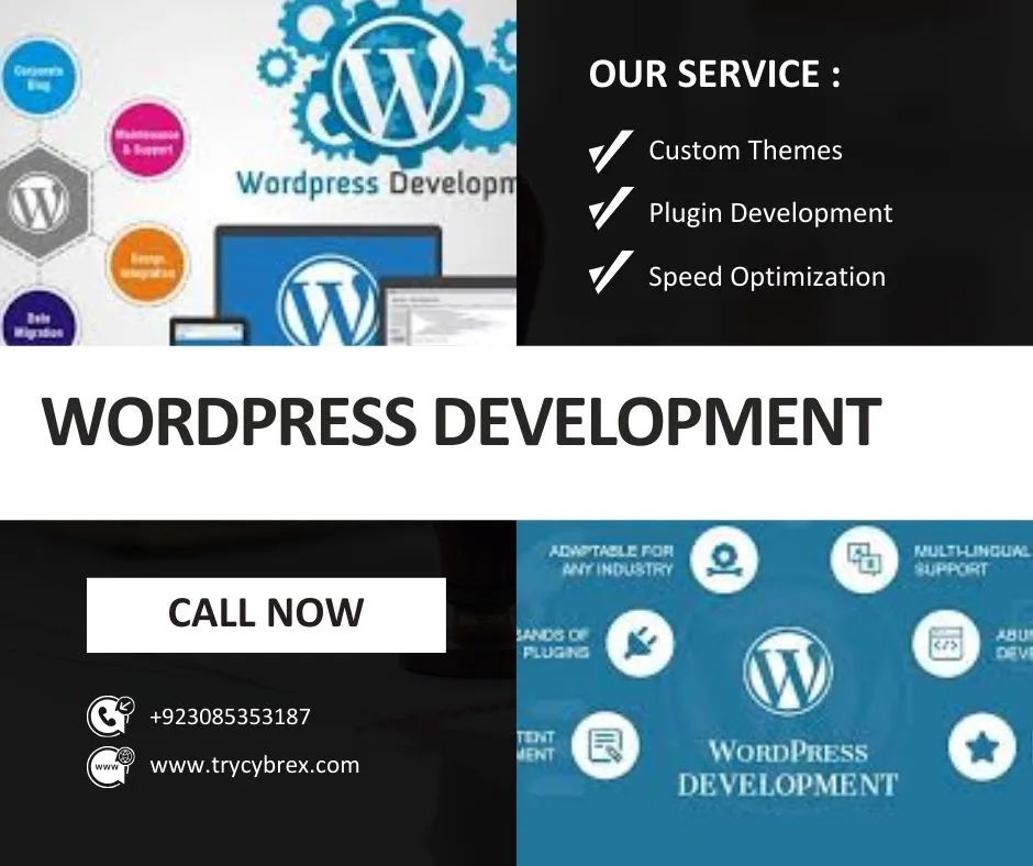 WordPress Development